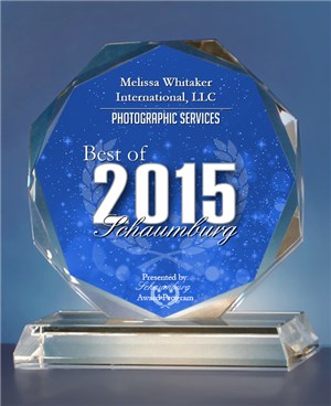 Best of 2015 Schaumburg_MWI Photographic Services